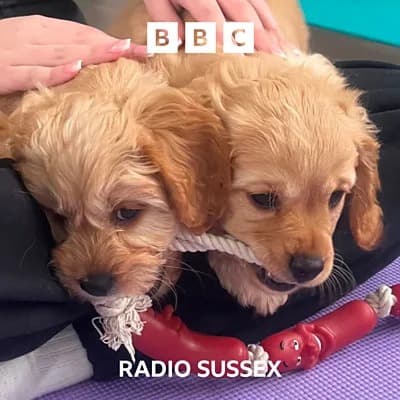 BBC Radio Sussex